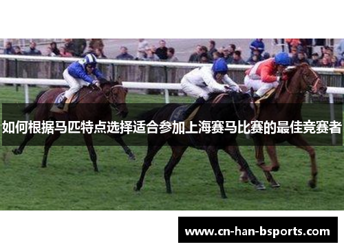 如何根据马匹特点选择适合参加上海赛马比赛的最佳竞赛者 如何根据马匹特点选择适合参加上海赛马比赛的最佳竞赛者